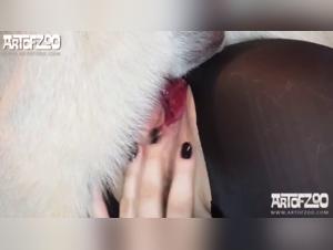 Yasmin: Hundebeischlaf mit Raffinesse