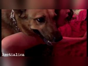 Hard Reign - Olympus: A Bestial and Exciting Experience