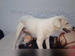 Dog fucking a woman: an intimate experience