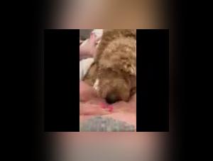 Mommy Cum - Bestiality Sex Video