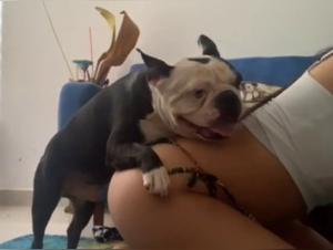 Teen Pussy Reit Hund - Extreme Porn