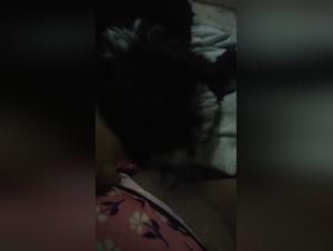 Woman and dog: a beastly video