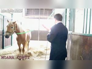 Extreme Zoophilia Videos