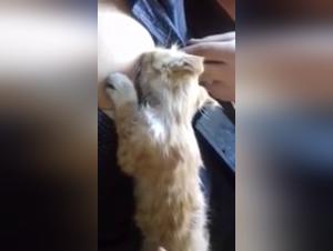 Woman and dog: a beastly love story