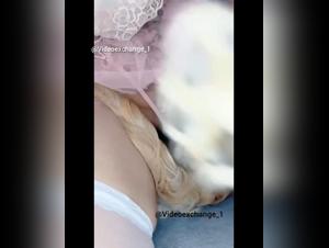 Eine Asiatin spielt mit dem Penis ihres Hundes