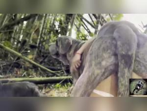 wild female bestiality delights
