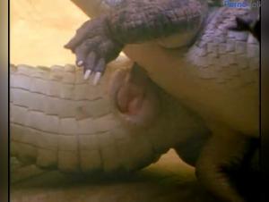 Crocodile Sex, Real Woman Footage