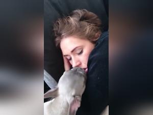 Vidéo Bestialité: Fille Endormie et Chien