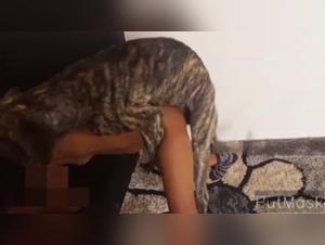 Naughty encounter with a dog: an intense zoophilia video