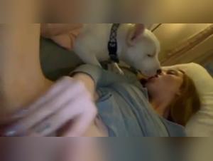 Reupload: Salope baise Chien Partie 1