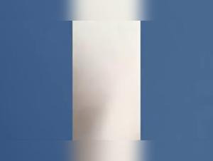 Bestiality sex video: dog licking a woman