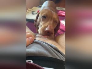 Bestiality Sex at the Juce Bar: A Woman and Her Lover on All Fours