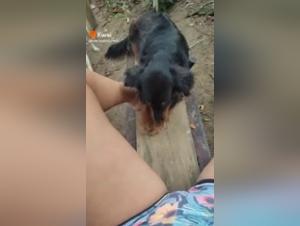 Unforgettable Intimacy: Man and Dog Share a Bond