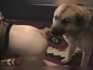 Japanerin Doppelt Hund Anal Hardcore Teil 1