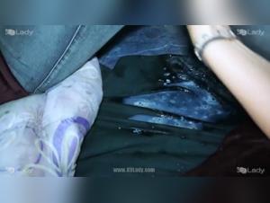 Forbidden Meeting: Woman and Dog