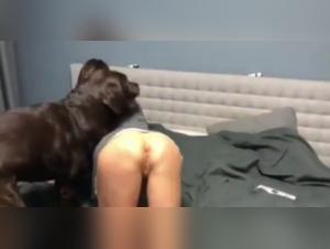 Maman et chien: une histoire de bestialité