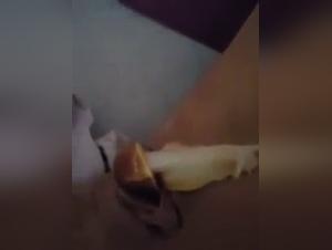 Snail and forbidden pleasure