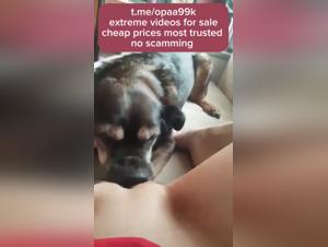 Polish woman and her dog in bestiality sex video