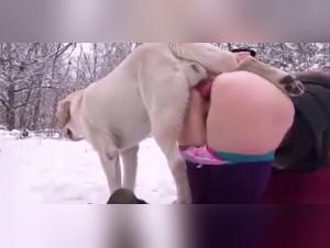 Sex with dogs in winter: intense and exciting moments