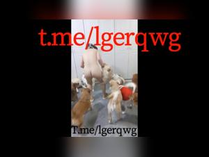 Sex with Dog Video - Asian Women and Dog