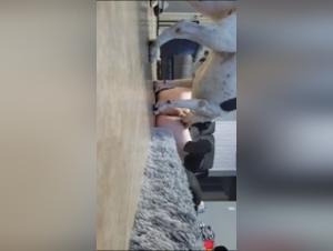 Submissive female dog and dominant dog in a zoophilia video