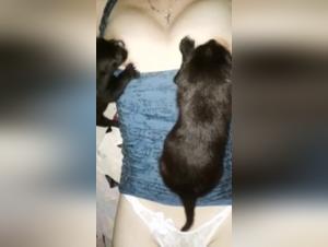 Canine Breast Milk: An Intense Zoophile Experience