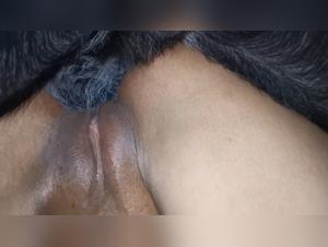 Brunette indulges in bestiality with a dog