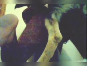 Forbidden Encounter: An Extreme Bestiality Experience