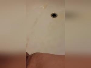 Bestial Encounter: Woman and Dog