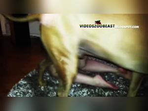 Woman and dog: a bestial and intense encounter