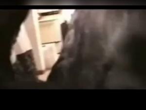 beastly pleasure: pounding the pussy with dog