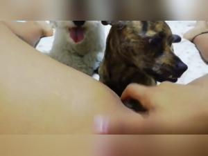 Submissive woman and dog in a zoophilia video