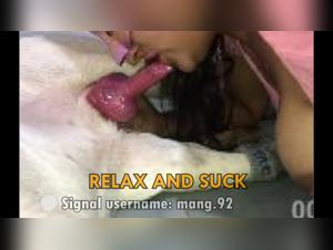 Canine Obsessions: Sluts at the Service of Bestiality