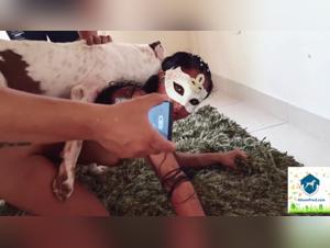 Canine Intimacy Featuring Xiomara on Animaltube