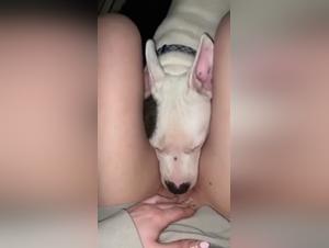 Extreme Zoophilia & Sex Zoo: The Slutty Doggies Get Screwed By Her Pooch