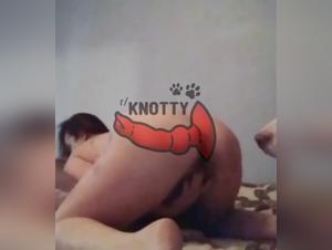 The sexy cat who fucks her dog - Intense bestiality