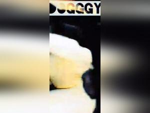 Bestiality Sex Video: Woman and Dog