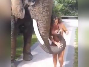 Shocking Bestiality: An Elephant's Dominance Over a Naked Whore