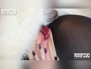 Intelligent cat shares beastly pleasure with owner