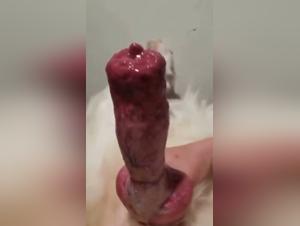 Teenager Bestiality: The Slut F*cks with Dog