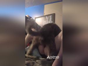 epouvante sexuelle avec épouse et chien