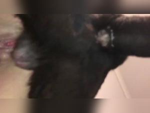 Dog Fucks the Gorgeous Silento Veronica