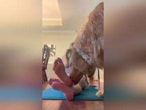 Bestial encounter: blonde woman and dog