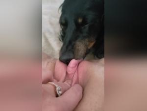 Shocking Intimate Relationship Between Woman and Dog