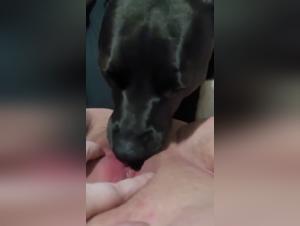 Doggy Dirty: Girl Drinks My Pee, Extreme
