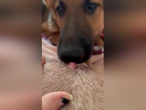 Dog Licks Teen Pussy