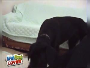 Ariel Patrice Pasión Canina Feroz