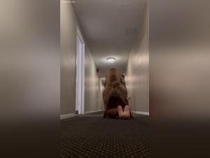 Hund vergewaltigt Frau in einem Hotelgang