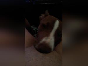 Bestiality: An innocent girl and a dog