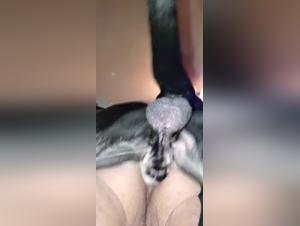 ArtofZoo & TickZoo: Denise Frazier mit Hund - Extreme Beastiality